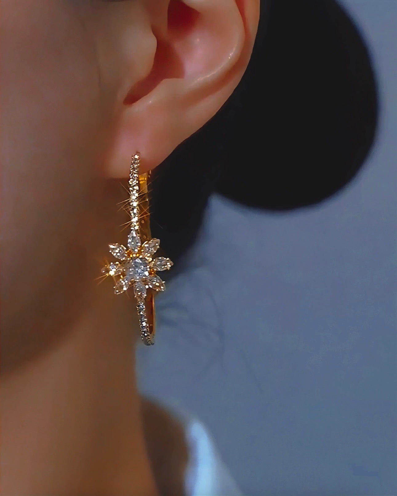 Ludus Earrings